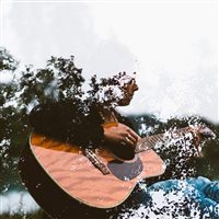 transfer-fast@Bridget