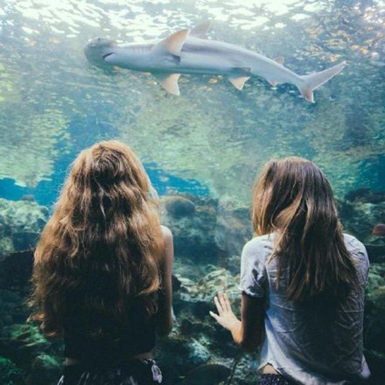 transfer-fast@Tristan